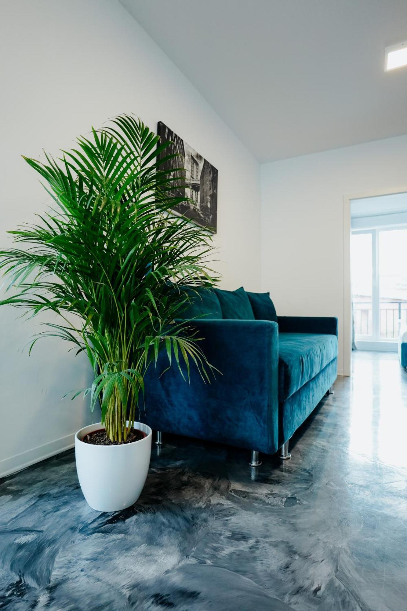 Andrew Apartaments Cluj-Napoca Ngoại thất bức ảnh