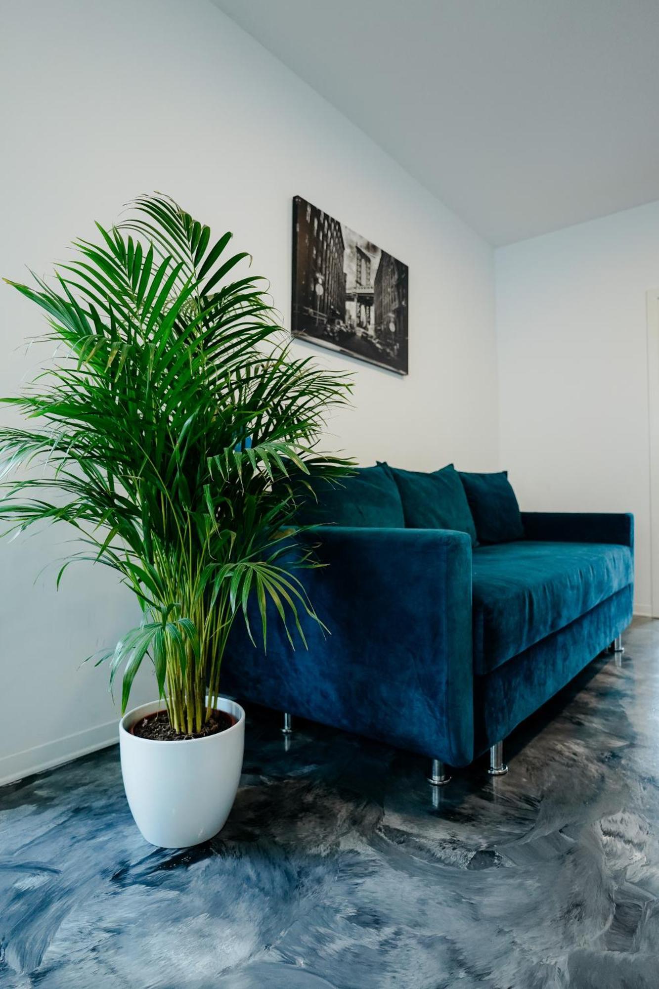 Andrew Apartaments Cluj-Napoca Ngoại thất bức ảnh