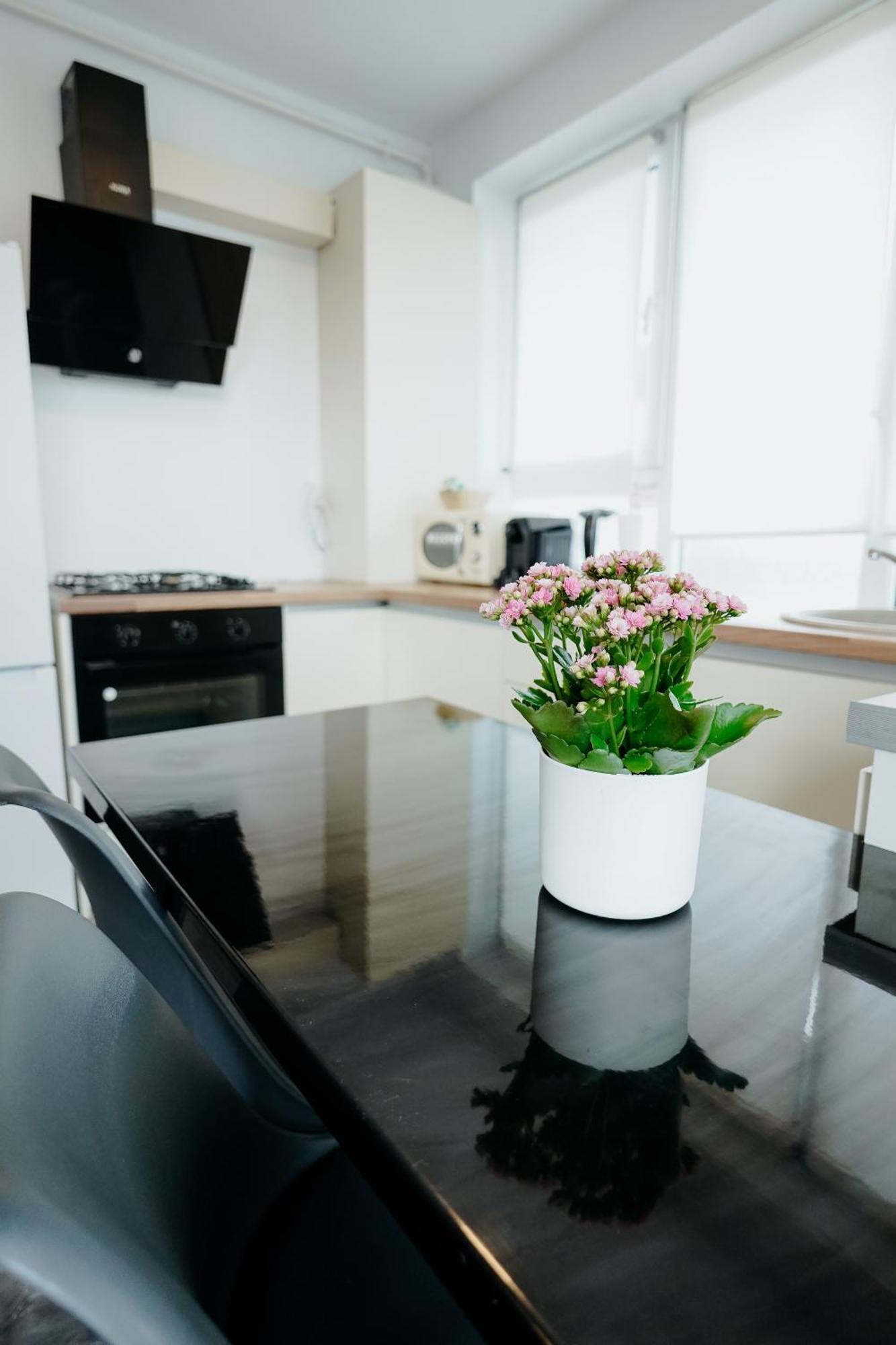 Andrew Apartaments Cluj-Napoca Ngoại thất bức ảnh