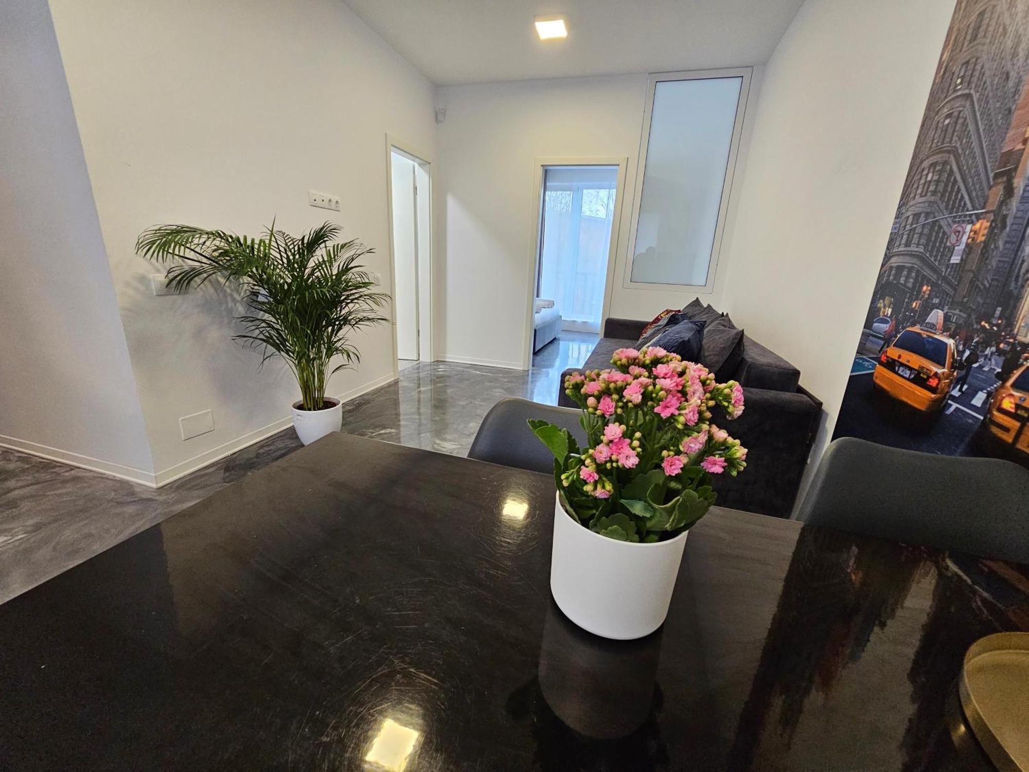 Andrew Apartaments Cluj-Napoca Ngoại thất bức ảnh